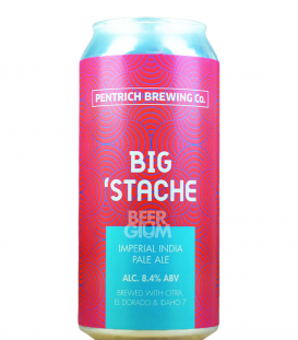 Pentrich Big 'Stache CANS 44cl - BBF 01-11-2021