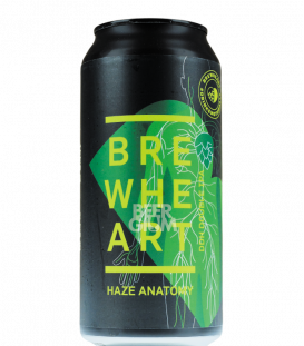 BrewHeart Haze Anatomy