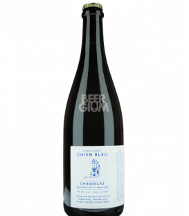 Chien Bleu Chasselas