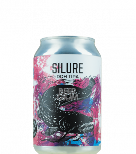 La Source Beer Co. Silure