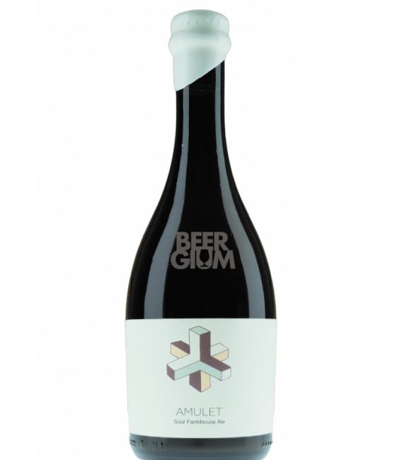 Hudson Valley Amulet Sour Farmhouse Ale 50cl