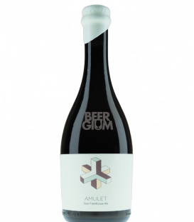 Hudson Valley Amulet Sour Farmhouse Ale 50cl