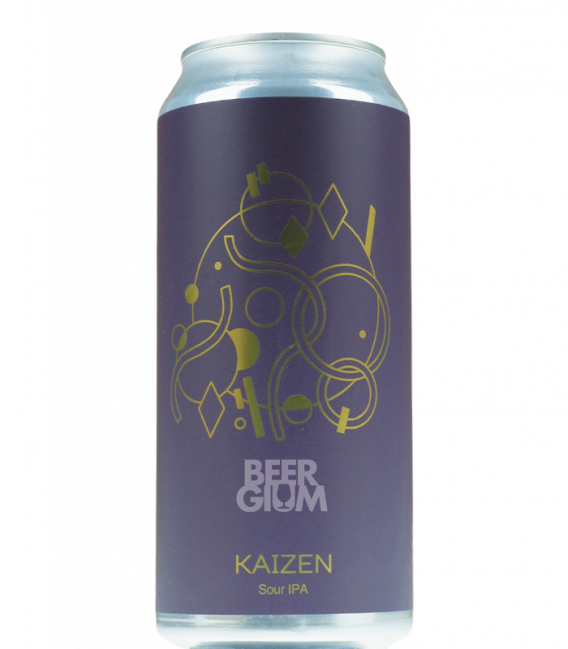 Hudson Valley Kaizen Sour IPA CANS 47cl