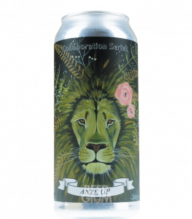 Ferrous Falcon / Fidens Brewing Ante Up CANS 47cl