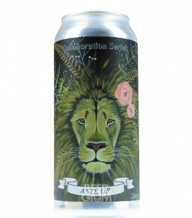 Ferrous Falcon / Fidens Brewing Ante Up CANS 47cl - Beergium