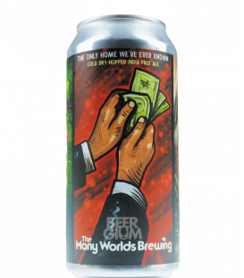 The Many Worlds Brewing The Only Home We