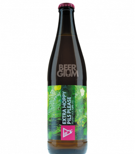 Funky Fluid Extra Hoppy Pils Please 50cl - BBF 08-02-2023