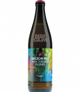 Funky Fluid Nelson Pils 50cl