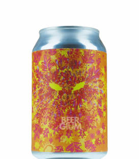 La Source Beer Co. Orange Gruit