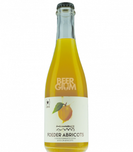 Lervig Rackhouse Foeder Abricots 37cl - Beergium