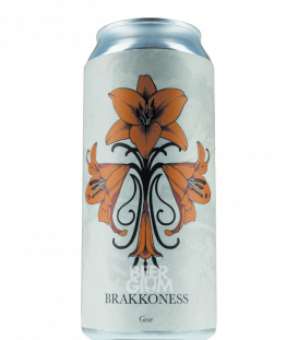 Sleeping Village Brakkoness CANS 44cl 