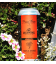 Phase Three / Weldwerks Tropical District CANS 47cl