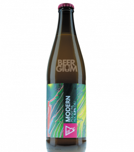Funky Fluid Modern Polish IPA
