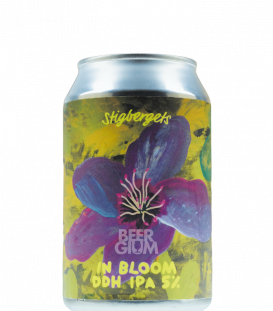 Stigbergets In Bloom CANS 33cl