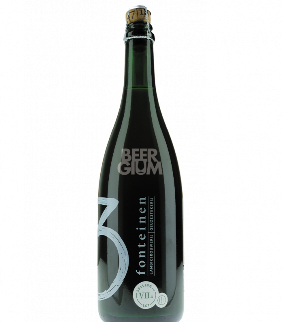 3 Fonteinen Speling Van Het Lot VII.X Pruim - Blended & Alive 75cl