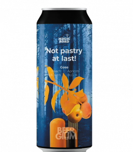 Magic Road Not pastry at last! - Peach & Apricots CANS 50cl