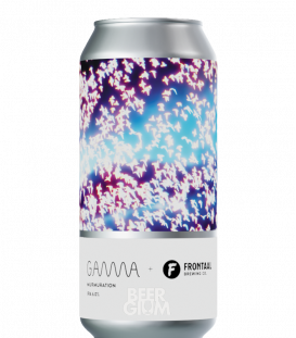 Gamma Brewing Company Murmuration