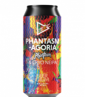 Funky Fluid Phantasmagoria CANS 50cl - BBF 02-10-2024