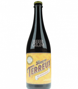 The Bruery Terreux Filmishmish 75cl VINTAGE 2016