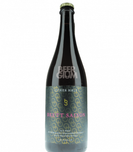 Other Half Brewing Co. Brett Saison