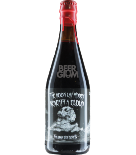 In Peccatum The Sour Side Series: The Moon Lay Hidden Beneath A Cloud 50cl - Beergium