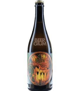Jester King Brewery El Cedro
