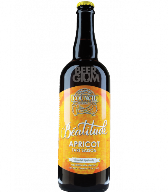 Council Béatitude: Apricot Tart Saison 75cl