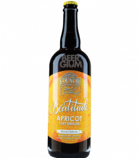 Council Béatitude: Apricot Tart Saison 75cl