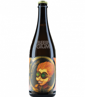 Jester King Das Wunderkind