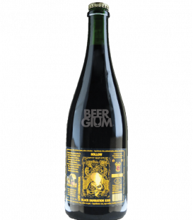De Struise Brouwers Black Damnation XXIII - Hollow