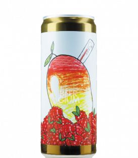 Brewski Mangohallonfeber CANS 33cl - Beergium