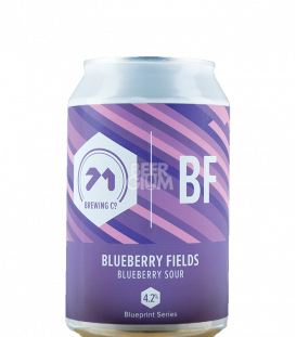 71 Brewing Blueberry Fields CANS 33cl - Beergium