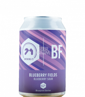 71 Brewing Blueberry Fields