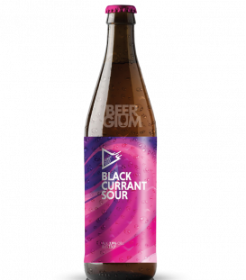 Funky Fluid Black Currant 50cl - BBF 01-08-2023 - Beergium