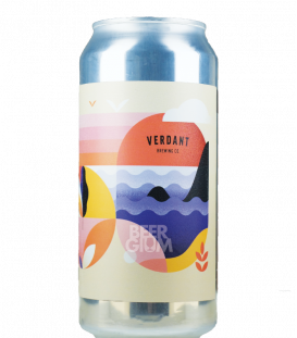 Verdant Some Fifty CANS 44cl - BBF 28-03-2021 - Beergium