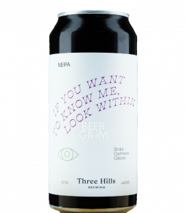Three Hills If You Want To Know Me, Look Within  CANS 44cl - BBF 22-01-2021 - Beergium
