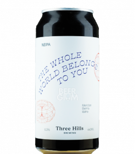 Three Hills The Whole World Belongs to You  CANS 44cl - BBF 27-01-2021 - Beergium