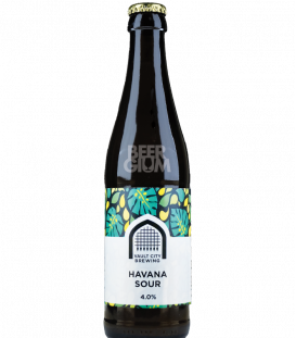 Vault City Brewing Havana Sour