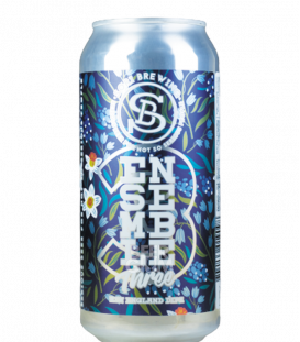 Sori Ensemble Three: DDH Mosaic & Citra CANS 50cl - BBF 22-07-2021 - Beergium