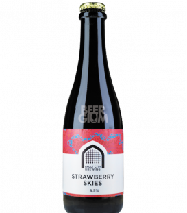 Vault City Brewing Strawberry Skies