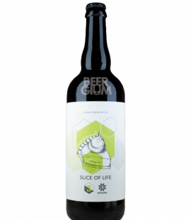 B. Nektar Meadery Slice Of Life