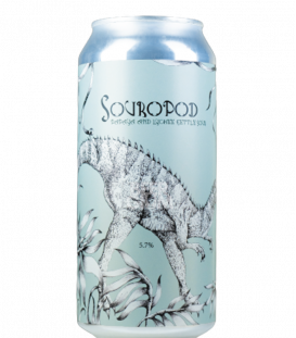 Staggeringly Good Souropod Papaya & Lychee CANS 44cl - BBF 11-06-2021 - Beergium