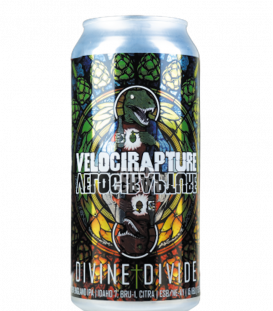 Staggeringly Good VelociRapture Divine Divide New England IPA CANS 44cl BBF 18-05-2021 - Beergium