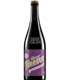 The Bruery Terreux Tart of Darkness