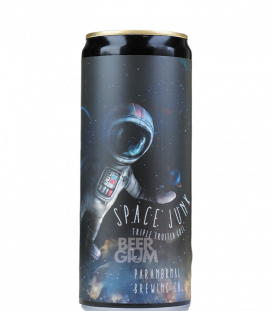 Paranormal Space Junk CANS 33cl
