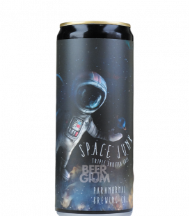 Paranormal Space Junk CANS 33cl - Beergium