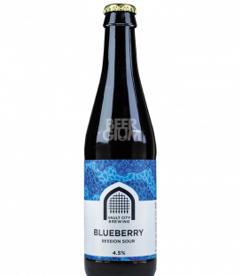 Vault City Brewing Blueberry Session Sour