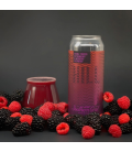 Southern Grist Double Fruited Boysenberry Blackberry Raspberry Hill CANS 47cl