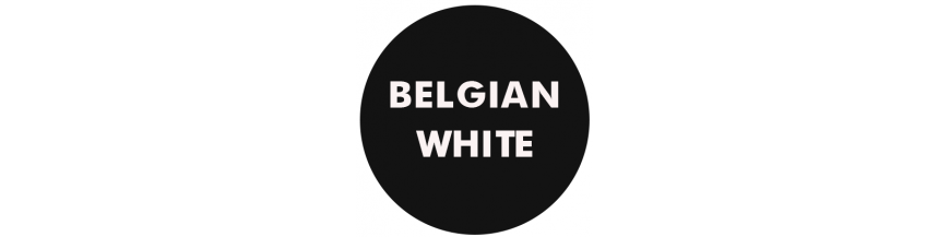 Belgian White (Witbier)